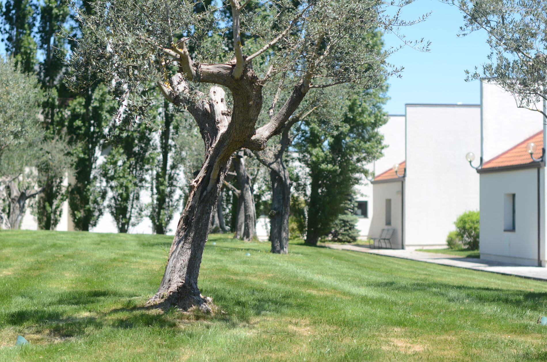 La guerra in Ucraina irrompe alle Due Culture di Biogem